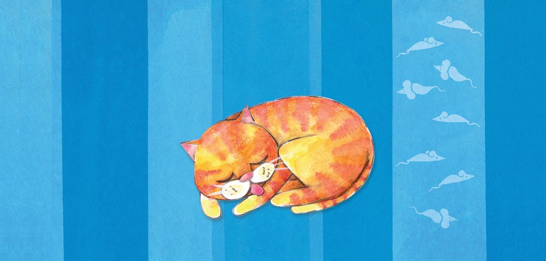 《愛乾淨的貓》封面